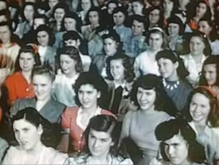 Mehr über den Artikel erfahren FORBIDDEN FRUIT für Produktion gefördert